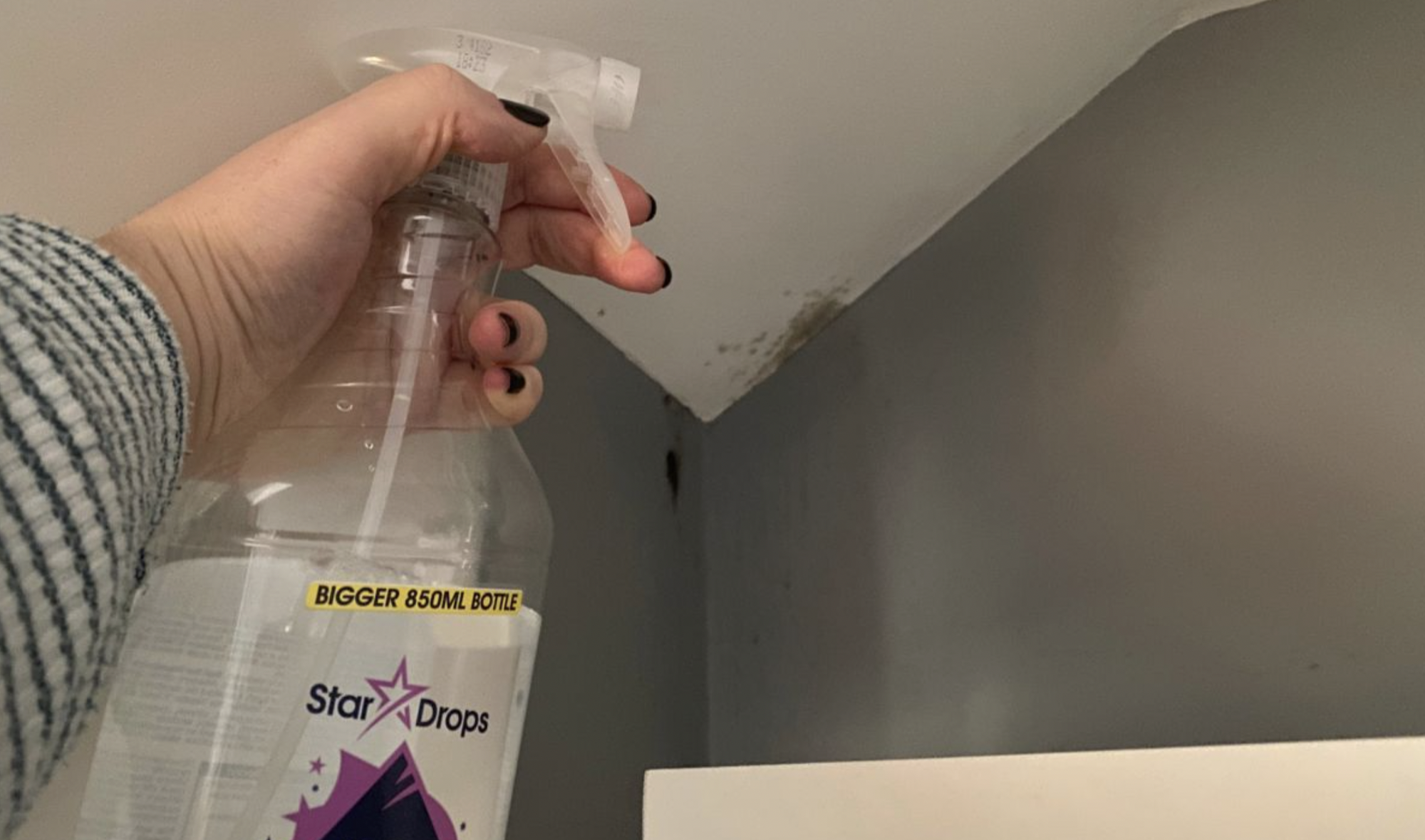 Tẩy sạch nấm mốc tr&ecirc;n tường với 1 nguy&ecirc;n liệu đơn giản, rẻ tiền, nh&agrave; n&agrave;o cũng c&oacute;: Hiệu quả hơn thuốc tẩy- Ảnh 2.