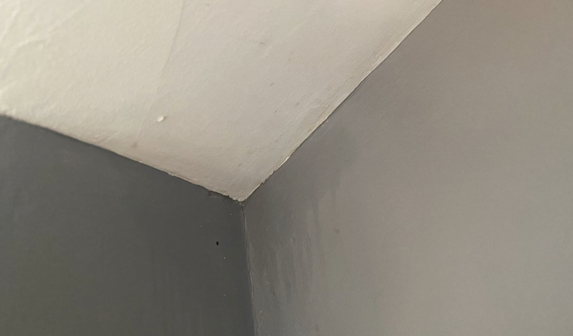 Tẩy sạch nấm mốc tr&ecirc;n tường với 1 nguy&ecirc;n liệu đơn giản, rẻ tiền, nh&agrave; n&agrave;o cũng c&oacute;: Hiệu quả hơn thuốc tẩy- Ảnh 3.