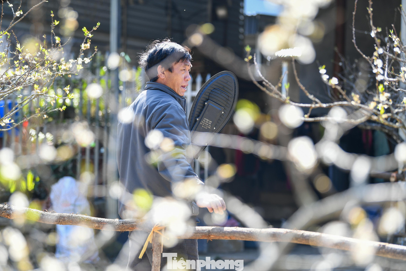 Đ&agrave;o, mận Mộc Ch&acirc;u h&uacute;t kh&aacute;ch chơi Tết sớm- Ảnh 3.