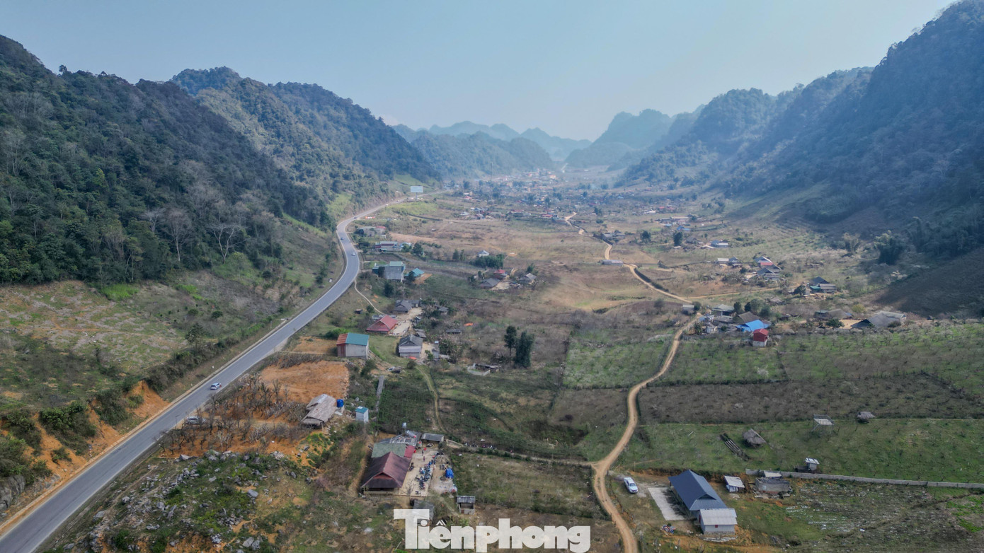 Đ&agrave;o, mận Mộc Ch&acirc;u h&uacute;t kh&aacute;ch chơi Tết sớm- Ảnh 1.