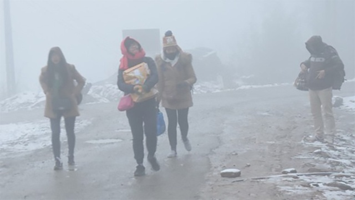 Miền Bắc sắp đ&oacute;n kh&ocirc;ng kh&iacute; lạnh cực mạnh, bỏ t&uacute;i ngay 3 "thần dược" tốt cho sức khỏe ng&agrave;y gi&oacute; m&ugrave;a- Ảnh 1.