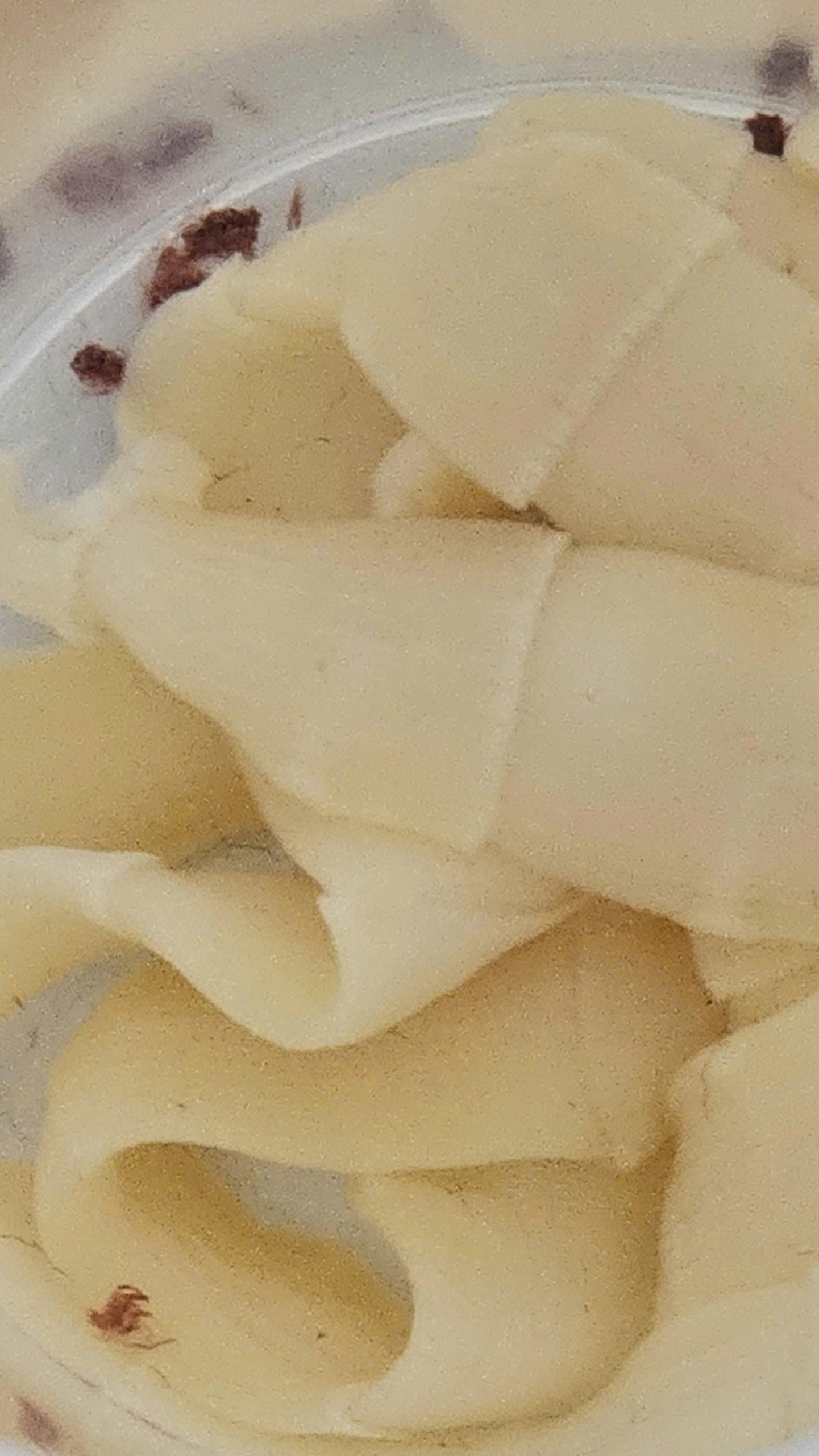 Gặp họa v&igrave; th&iacute;ch m&oacute;n t&aacute;i, sống- Ảnh 2.