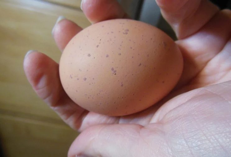 Đi chợ thấy 4 loại trứng n&agrave;y th&igrave; gi&aacute; rẻ mấy cũng đừng mua: ăn v&agrave;o đau bụng, ngấm ngầm hại th&acirc;n- Ảnh 3.