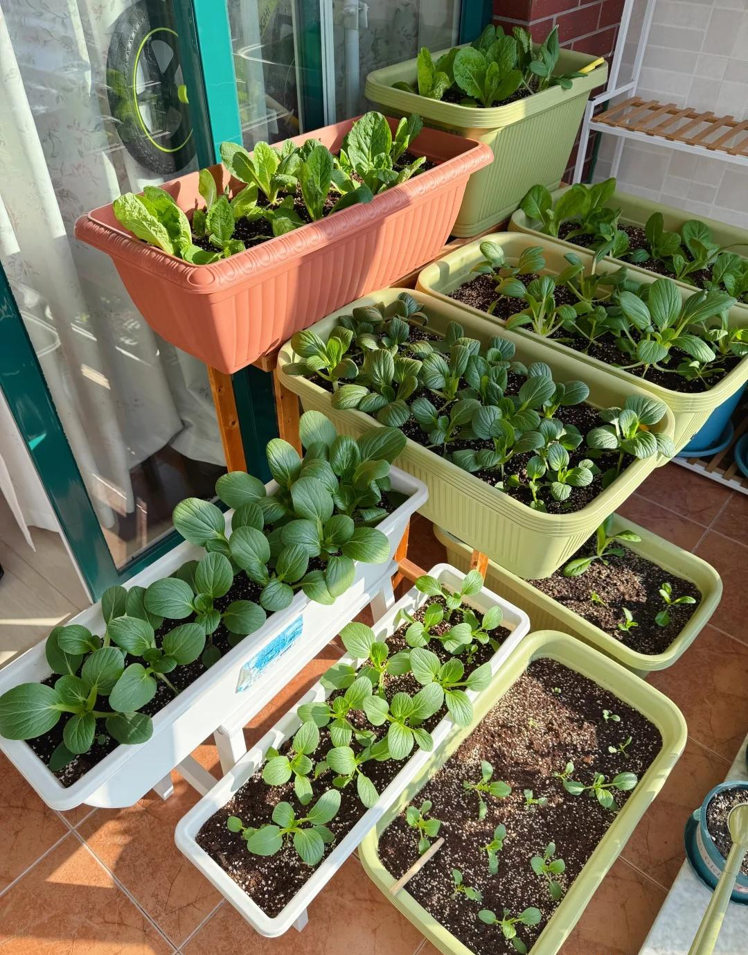 Người phụ nữ 50 tuổi khiến t&ocirc;i 