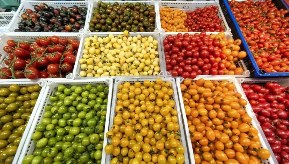 Loại quả l&agrave; 