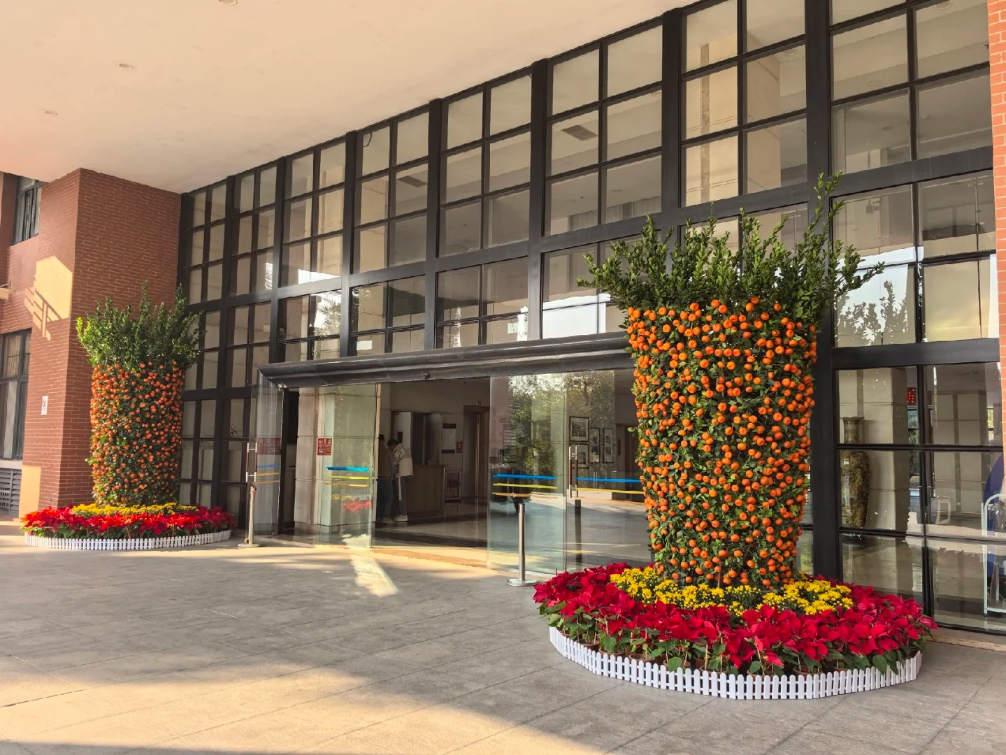 Nh&agrave; gi&agrave;u chưng Tết kh&ocirc;ng chọn chậu nhỏ, v&igrave; sao "lộc b&igrave;nh quất" khổng lồ lại được giới thượng lưu săn l&ugrave;ng r&aacute;o riết để đ&oacute;n năm mới?- Ảnh 13.