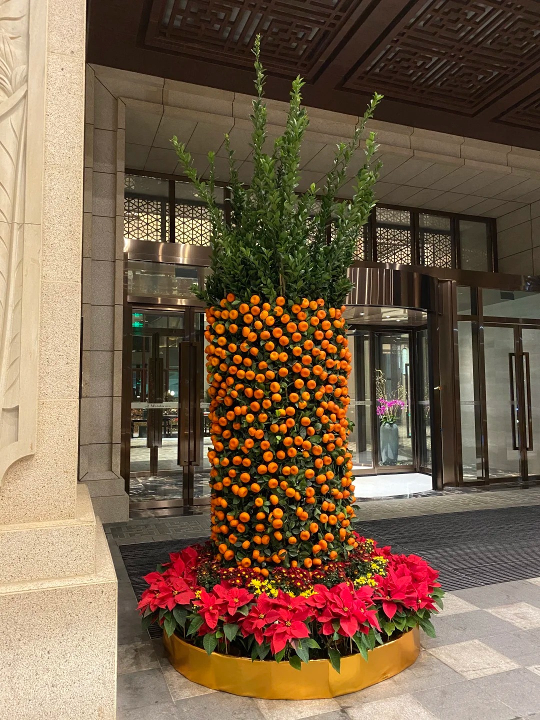 Nh&agrave; gi&agrave;u chưng Tết kh&ocirc;ng chọn chậu nhỏ, v&igrave; sao "lộc b&igrave;nh quất" khổng lồ lại được giới thượng lưu săn l&ugrave;ng r&aacute;o riết để đ&oacute;n năm mới?- Ảnh 7.