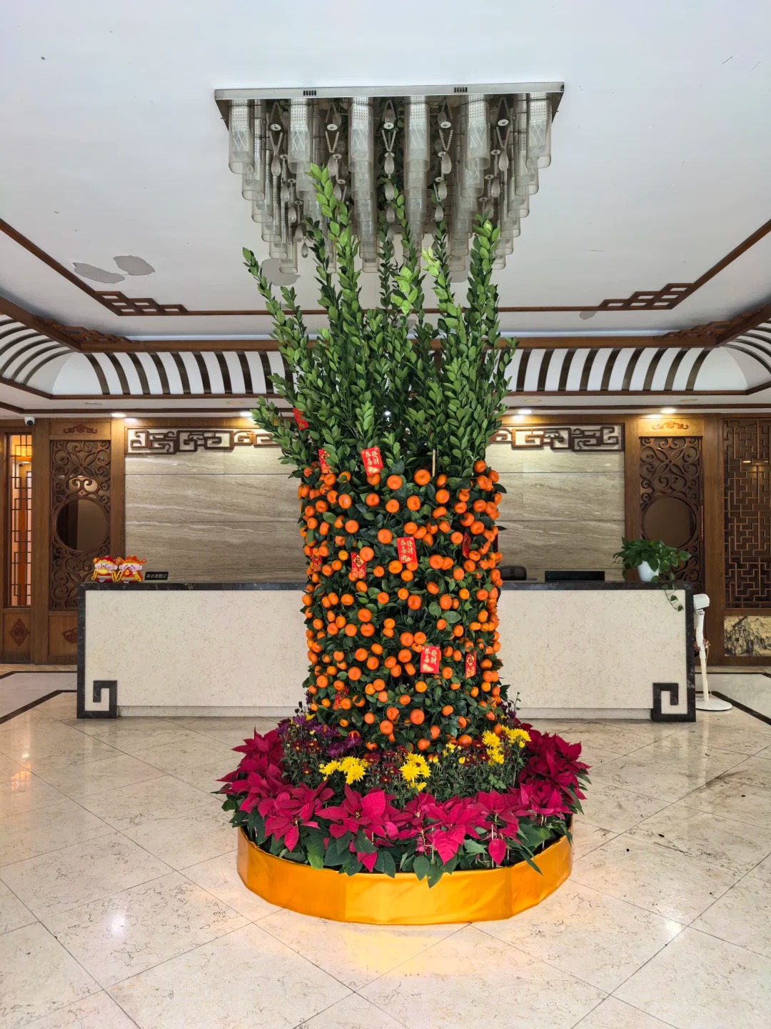 Nh&agrave; gi&agrave;u chưng Tết kh&ocirc;ng chọn chậu nhỏ, v&igrave; sao "lộc b&igrave;nh quất" khổng lồ lại được giới thượng lưu săn l&ugrave;ng r&aacute;o riết để đ&oacute;n năm mới?- Ảnh 6.