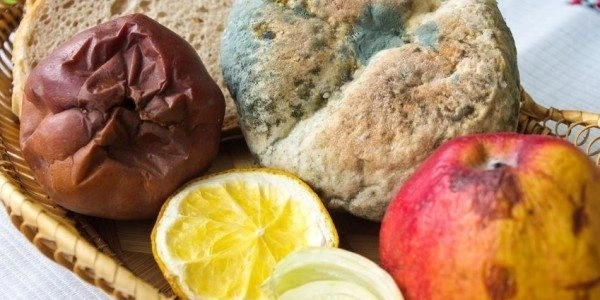 Ng&agrave;y c&agrave;ng nhiều người tử vong v&igrave; ung thư gan, b&aacute;c sĩ cảnh b&aacute;o: 4 m&oacute;n n&agrave;y hại gan bậc nhất, ăn nhiều sau n&agrave;y hối hận kh&ocirc;ng kịp- Ảnh 1.