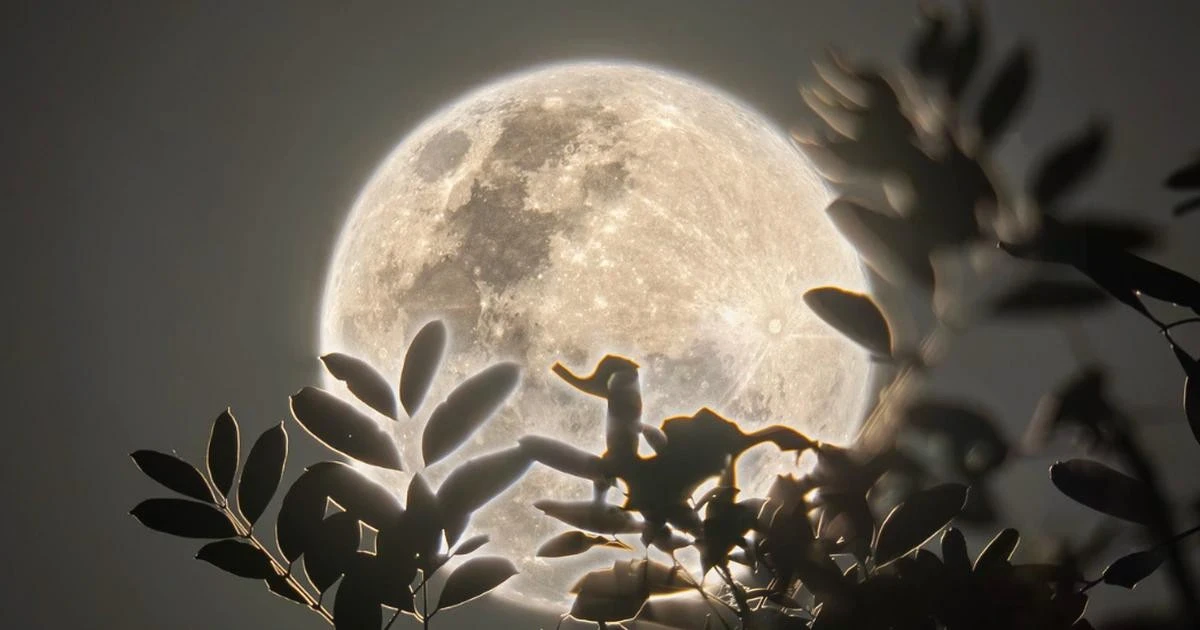 C&acirc;u đố: Một chữ trong tiếng Việt để nguy&ecirc;n l&agrave; con b&ograve;, bỏ bớt chữ vẫn l&agrave; con b&ograve;, ai thật sự nhanh tr&iacute; mới biết- Ảnh 4.