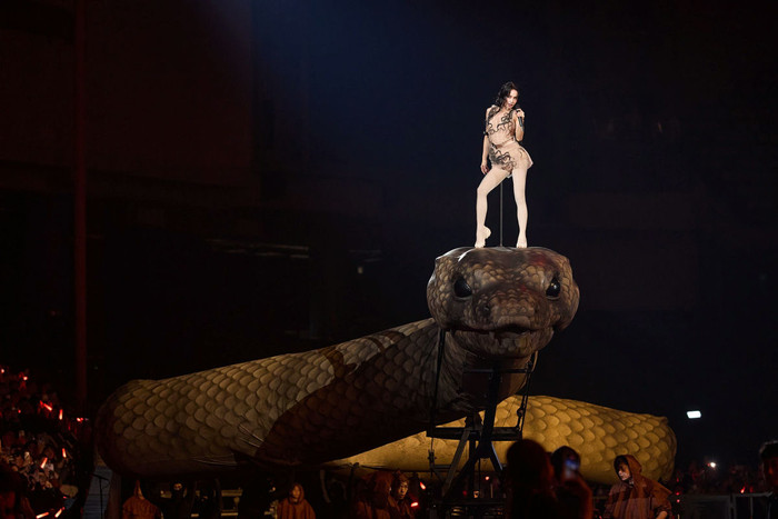 Mỹ nh&acirc;n kh&ocirc;ng tuổi lỗ nặng 263 tỷ đồng v&igrave; concert &ldquo;trăn khổng lồ&rdquo;, đối diện nguy cơ cấm s&oacute;ng- Ảnh 3.