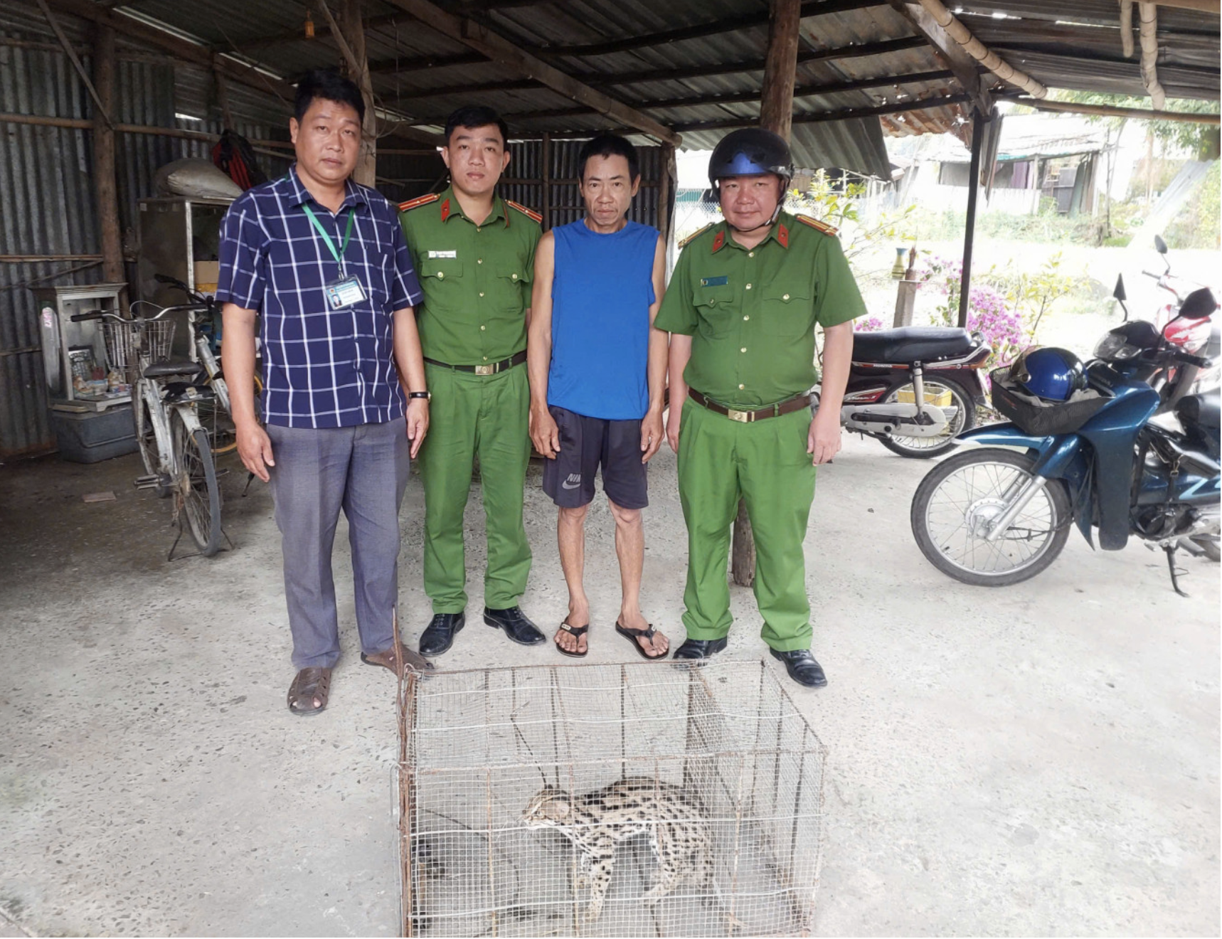 Cần Thơ: Đặt bẫy do mất gà vịt nhưng bắt được loài mèo quý hiếm- Ảnh 1. Cần Thơ: Đặt bẫy do mất gà vịt nhưng bắt được loài mèo quý hiếm- Ảnh 1.