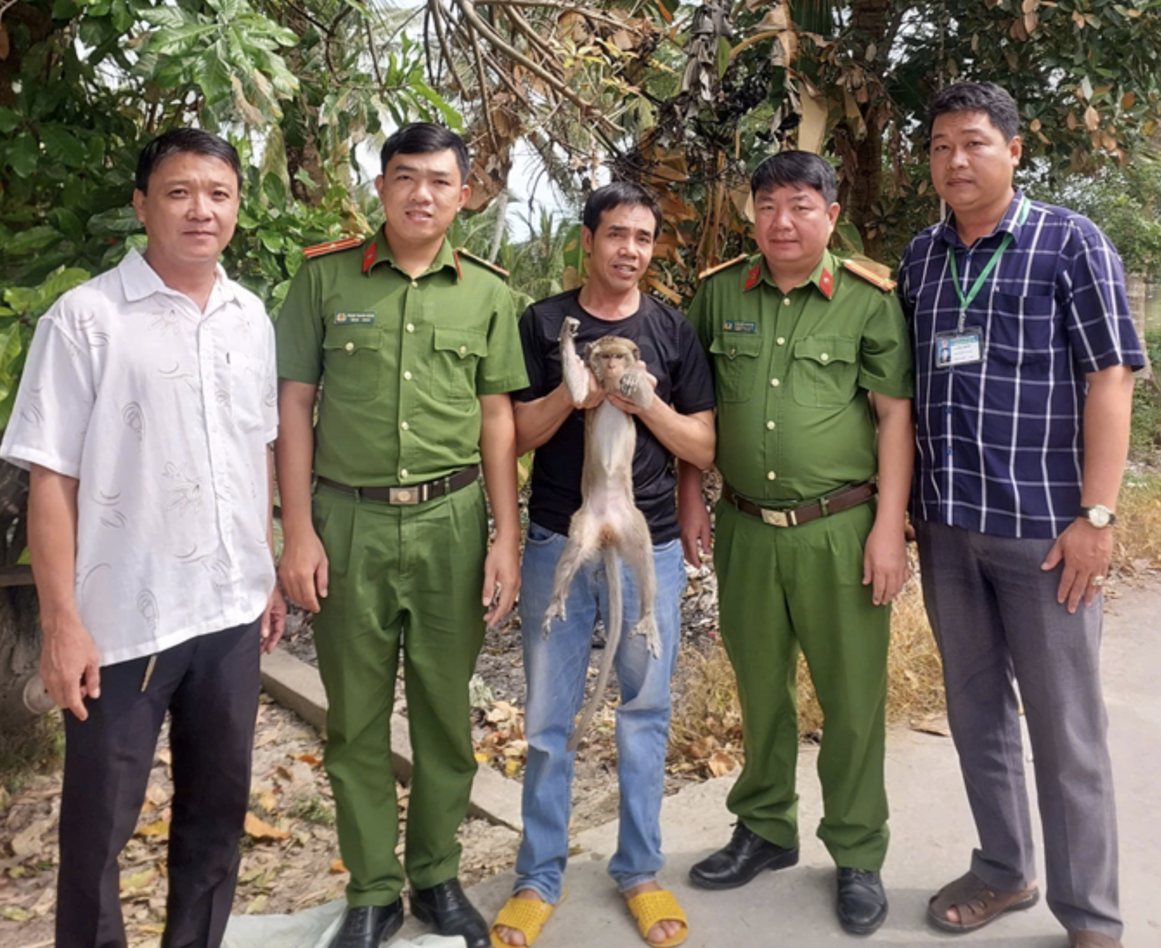 Cần Thơ: Đặt bẫy do mất gà vịt nhưng bắt được loài mèo quý hiếm- Ảnh 2. Cần Thơ: Đặt bẫy do mất gà vịt nhưng bắt được loài mèo quý hiếm- Ảnh 2.