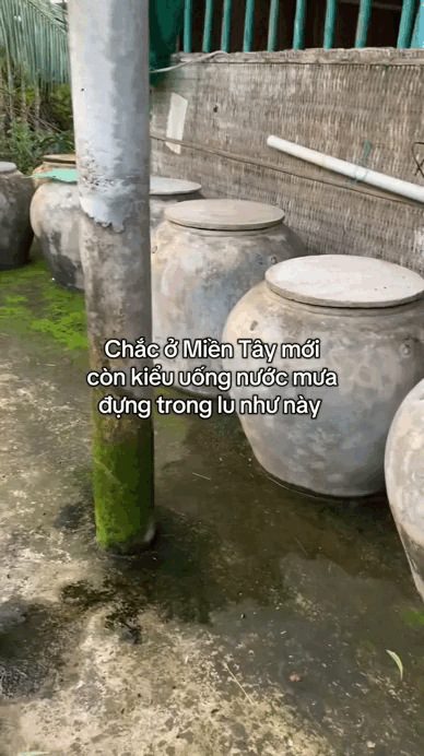 "Đặc sản" trong nhà người miền Tây, cả nước muốn biết đáp án- Ảnh 3. "Đặc sản" trong nhà người miền Tây, cả nước muốn biết đáp án- Ảnh 3.