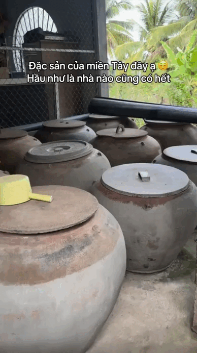 “Đặc sản” trong nhà người miền Tây, cả nước muốn biết đáp án