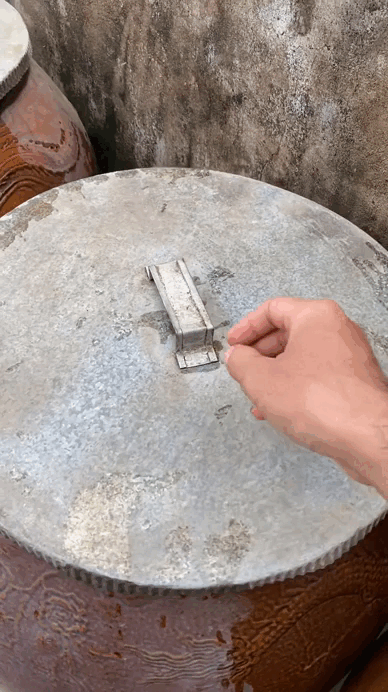 "Đặc sản" trong nhà người miền Tây, cả nước muốn biết đáp án- Ảnh 2. "Đặc sản" trong nhà người miền Tây, cả nước muốn biết đáp án- Ảnh 2.