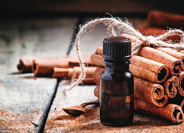 Việt Nam sở hữu một loại gia vị m&agrave; rắn rất sợ, d&ugrave;ng theo c&aacute;ch n&agrave;y hiệu quả bất ngờ- Ảnh 1.