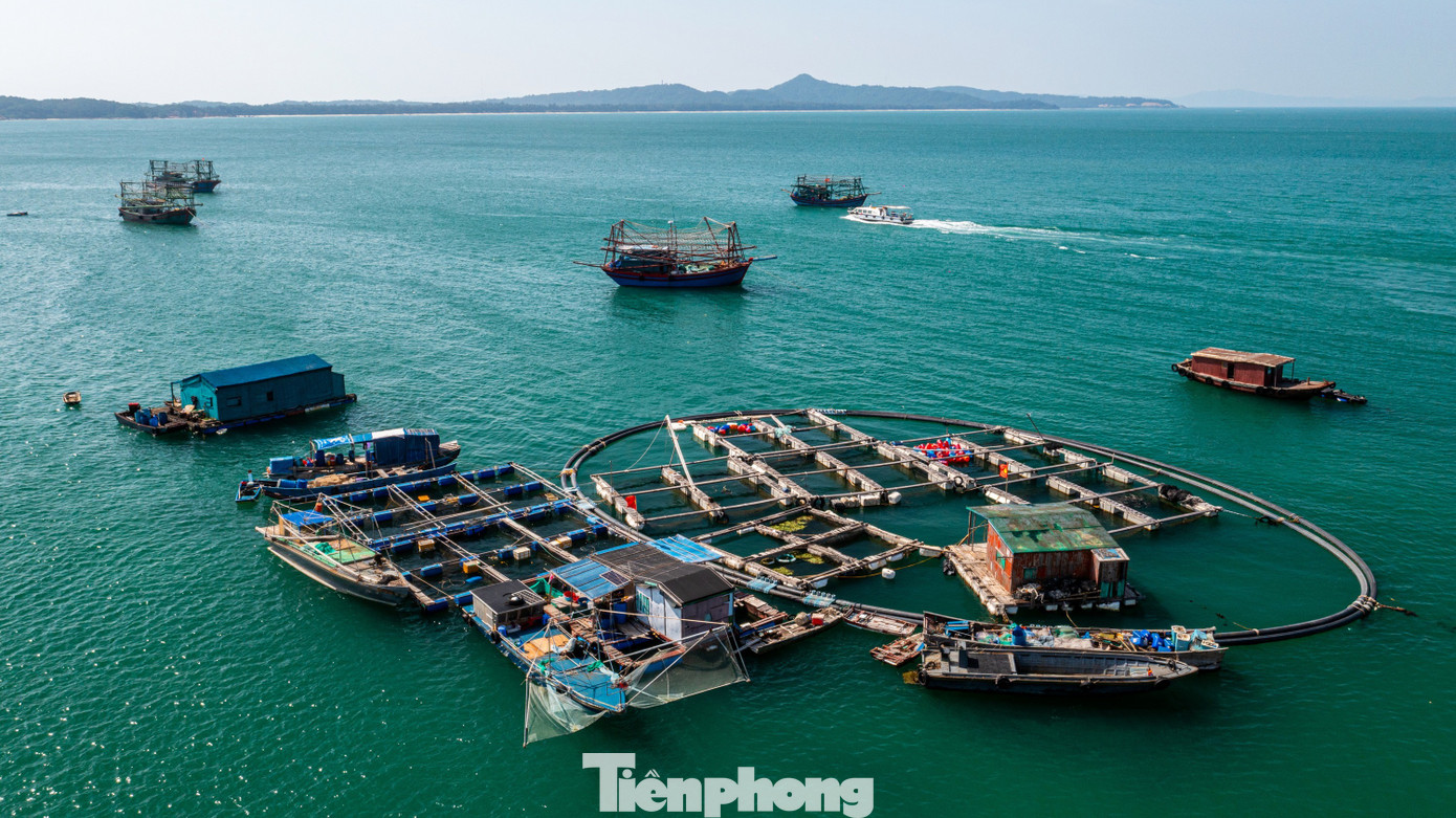 Độc lạ h&ograve;n đảo ngắm ho&agrave;ng h&ocirc;n, b&igrave;nh minh ở Quảng Ninh- Ảnh 2.