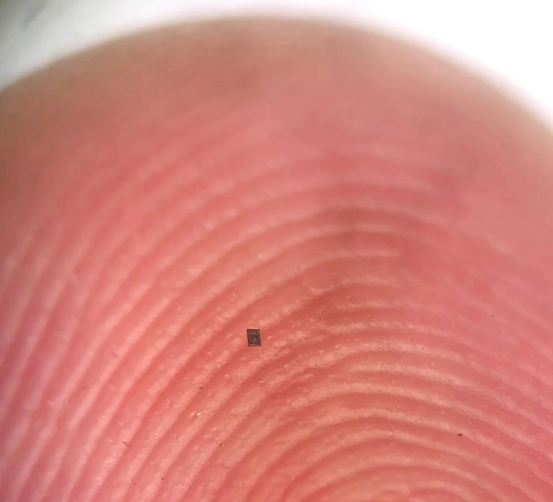 Robot si&ecirc;u nhỏ biết bơi, tự suy nghĩ v&agrave; h&agrave;nh động- Ảnh 2.