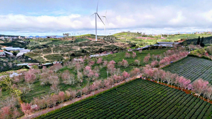 Đầu năm 2026, du lịch Đ&agrave; Lạt c&oacute; một việc &ldquo;chưa từng c&oacute; tiền lệ&rdquo;- Ảnh 9.