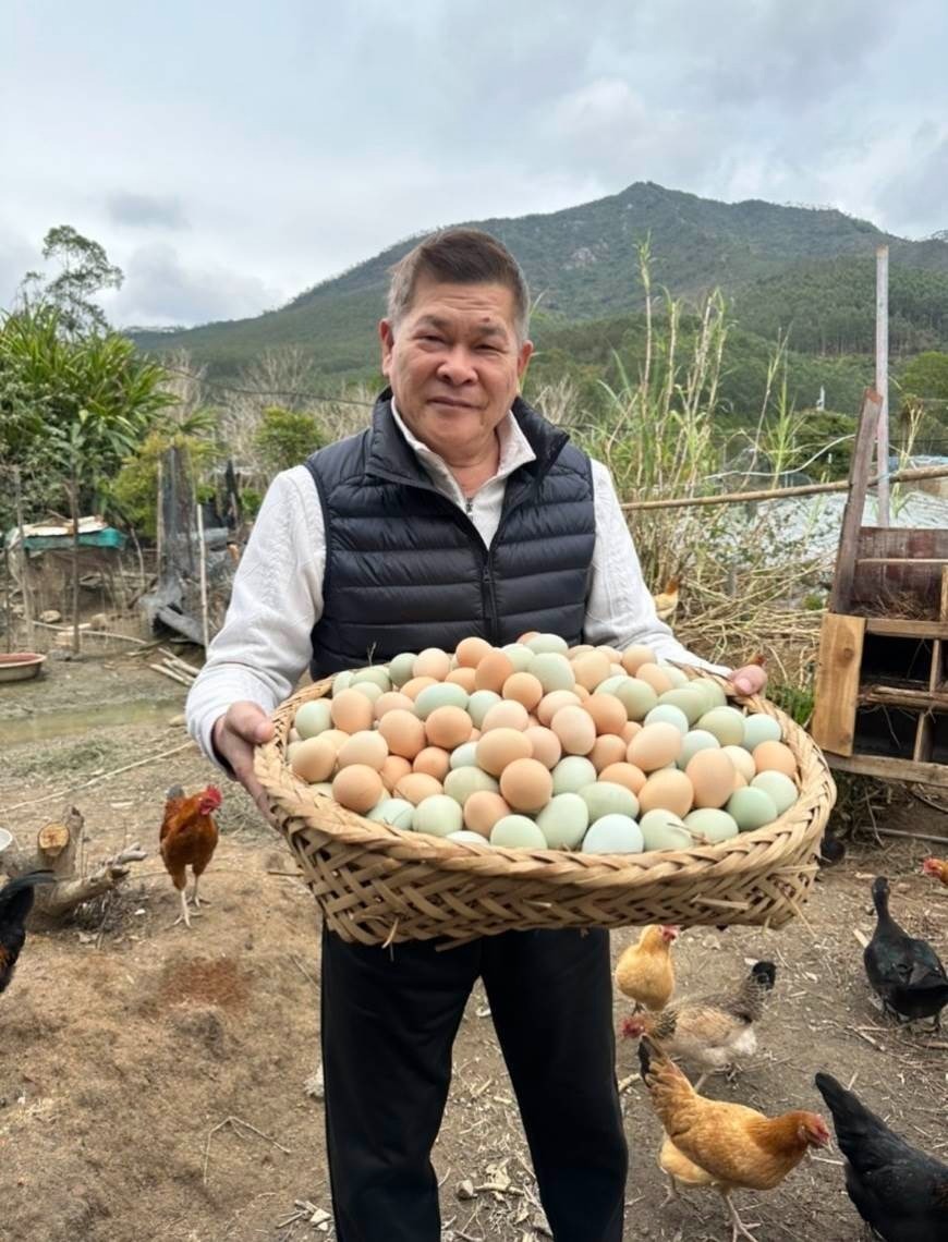 Nam diễn vi&ecirc;n cả nước biết mặt ph&aacute; sản v&igrave; m&oacute;n nợ 191 tỷ, nay về qu&ecirc; b&aacute;n trứng, tr&aacute;i c&acirc;y đầy chua x&oacute;t- Ảnh 5.