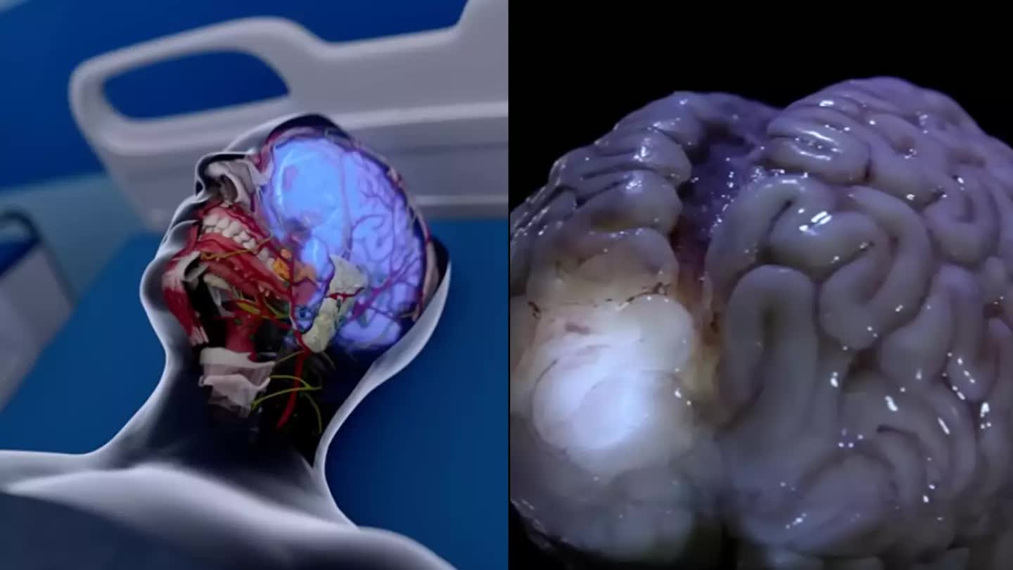 C&aacute;c nh&agrave; khoa học đặt lại c&acirc;u hỏi về ranh giới sinh tử: Con người trải qua điều g&igrave; trong s&aacute;u ph&uacute;t sau khi chết l&acirc;m s&agrave;ng?- Ảnh 1.