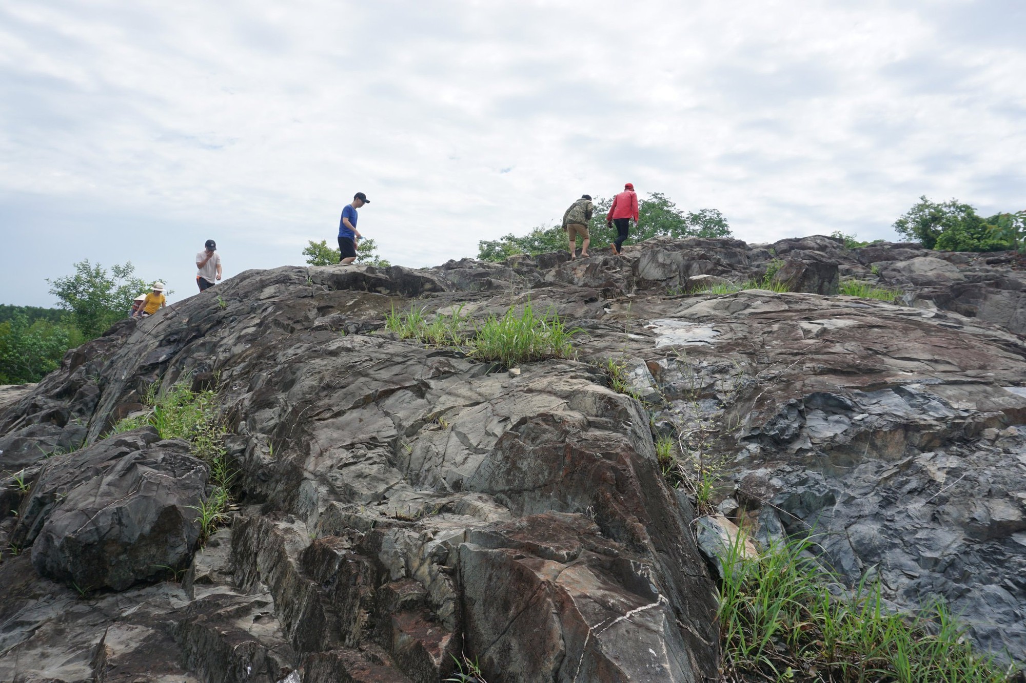Ngọn núi ở TP.HCM cao hơn 10m: Được ví như "núi dễ leo nhất Việt Nam", xung quanh là hệ sinh thái hiếm có- Ảnh 3. Ngọn núi ở TP.HCM cao chỉ hơn 10m: Được ví như