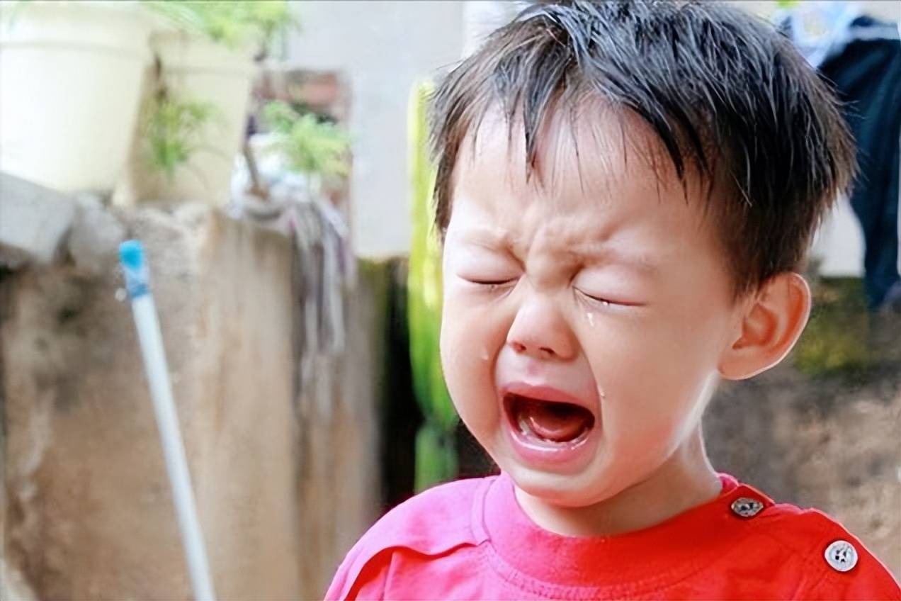 Nghi&ecirc;n cứu suốt 40 năm: Đứa trẻ c&agrave;ng hay c&atilde;i cha mẹ sau n&agrave;y c&agrave;ng c&oacute; tố chất l&agrave;m triệu ph&uacute;!- Ảnh 1.