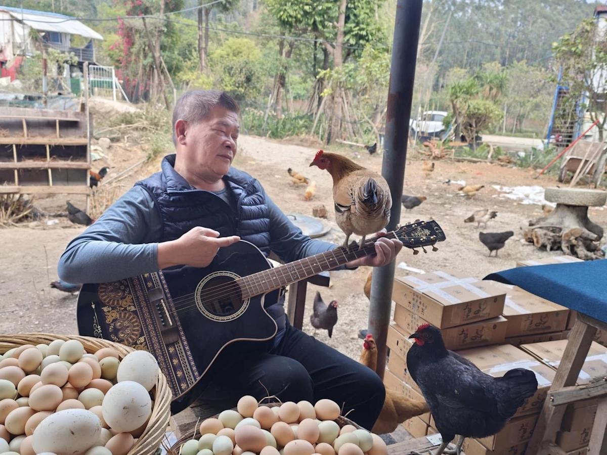 Nam diễn vi&ecirc;n cả nước biết mặt ph&aacute; sản v&igrave; m&oacute;n nợ 191 tỷ, nay về qu&ecirc; b&aacute;n trứng, tr&aacute;i c&acirc;y đầy chua x&oacute;t- Ảnh 6.