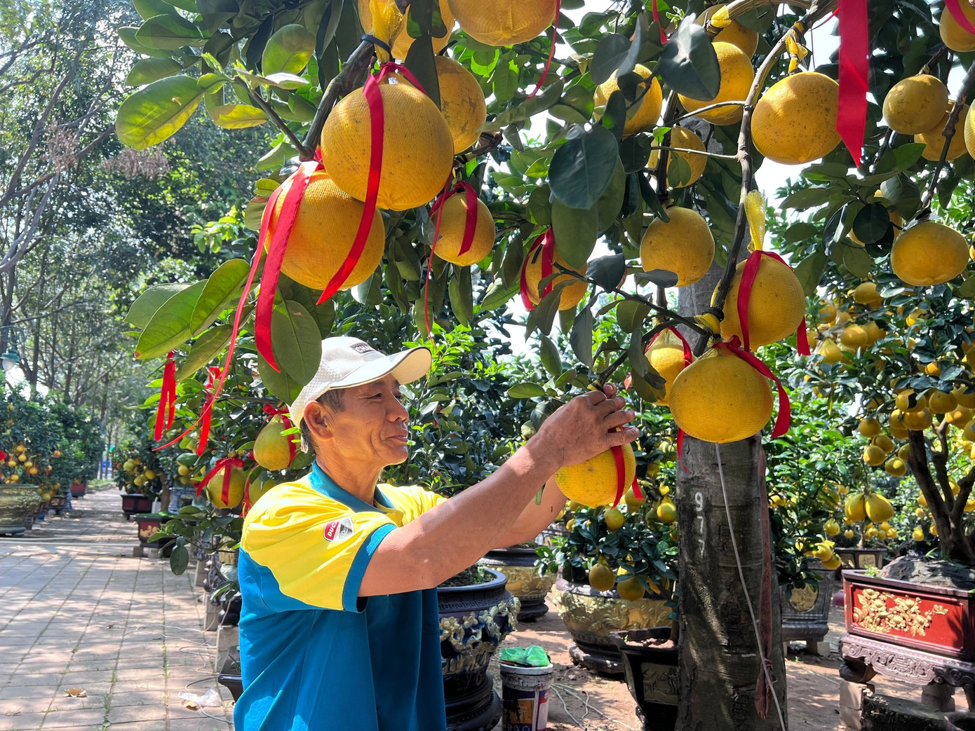 Nh&agrave; vườn TPHCM 'n&iacute;n thở' chờ sức mua- Ảnh 1.