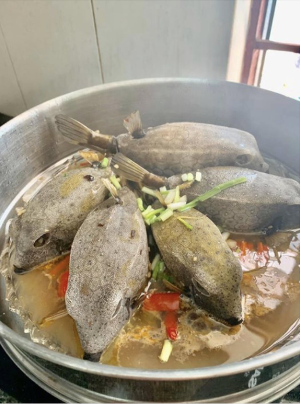 "Qu&aacute;i ngư" c&oacute; h&igrave;nh h&agrave;i đ&aacute;ng sợ ở v&ugrave;ng biển miền Trung, nh&igrave;n gh&ecirc; nhưng được săn l&ugrave;ng d&ugrave; gi&aacute; tiền triệu- Ảnh 2.