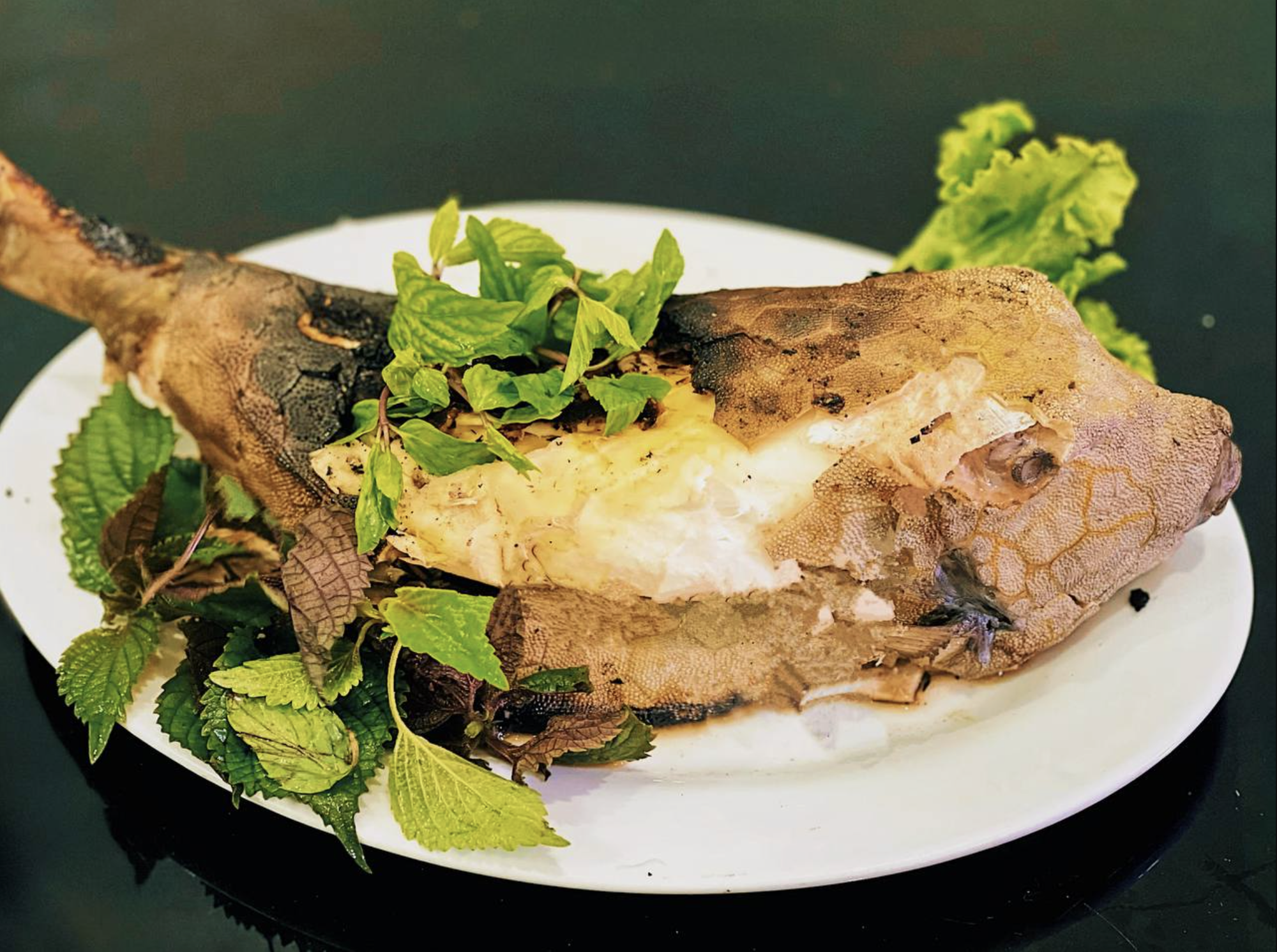 "Qu&aacute;i ngư" c&oacute; h&igrave;nh h&agrave;i đ&aacute;ng sợ ở v&ugrave;ng biển miền Trung, nh&igrave;n gh&ecirc; nhưng được săn l&ugrave;ng d&ugrave; gi&aacute; tiền triệu- Ảnh 3.