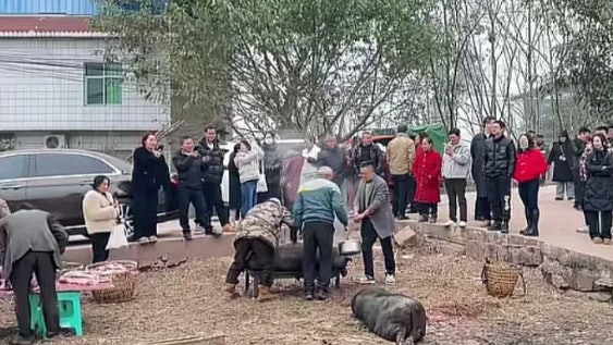 C&ocirc; g&aacute;i nhờ CĐM "ai rảnh tới gi&uacute;p mổ heo ăn Tết", hơn 4.000 người tới g&oacute;p vui, địa phương tranh thủ "mở lễ hội du lịch"- Ảnh 1.