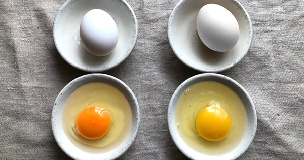 Đập trứng g&agrave; l&ograve;ng đỏ đậm v&agrave; nhạt kh&aacute;c nhau: Chuy&ecirc;n gia tiết lộ 