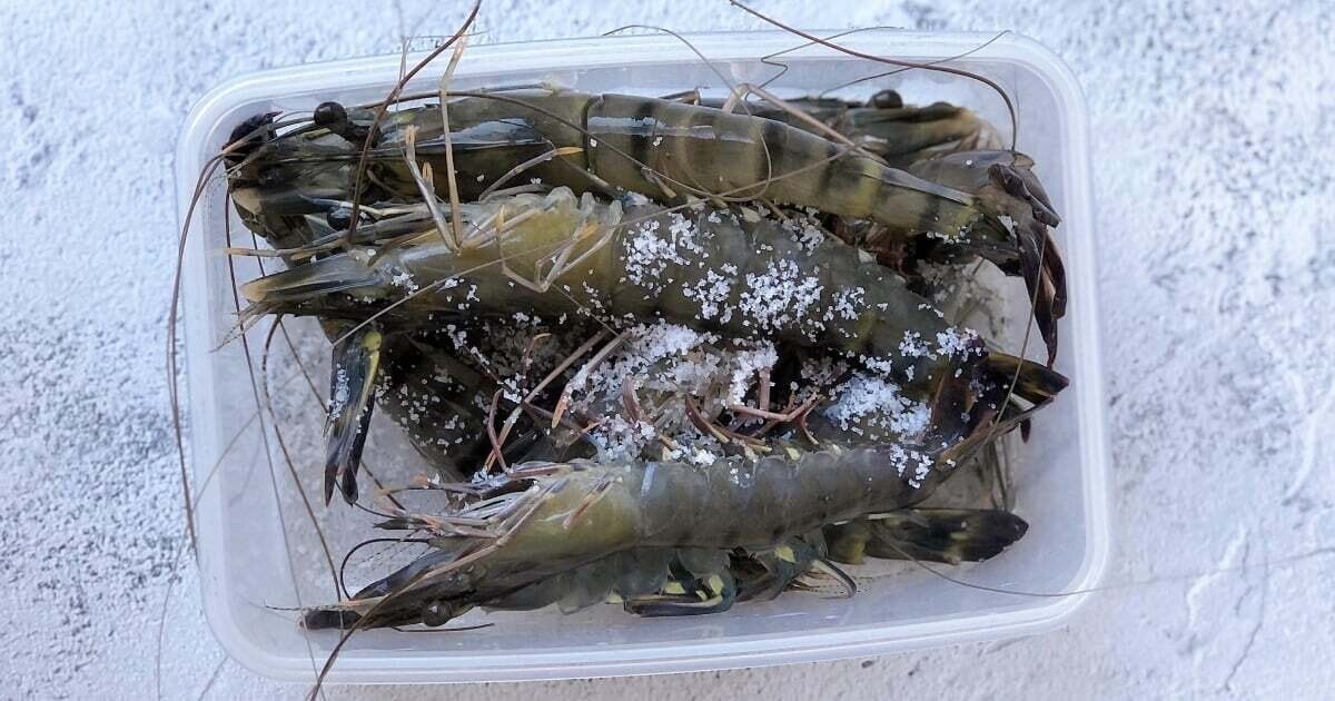 T&ocirc;m mua về ĐỪNG vội cho v&agrave;o tủ lạnh: Th&ecirc;m đ&uacute;ng 1 thứ n&agrave;y, t&ocirc;m để l&acirc;u vẫn tươi như mới- Ảnh 1.