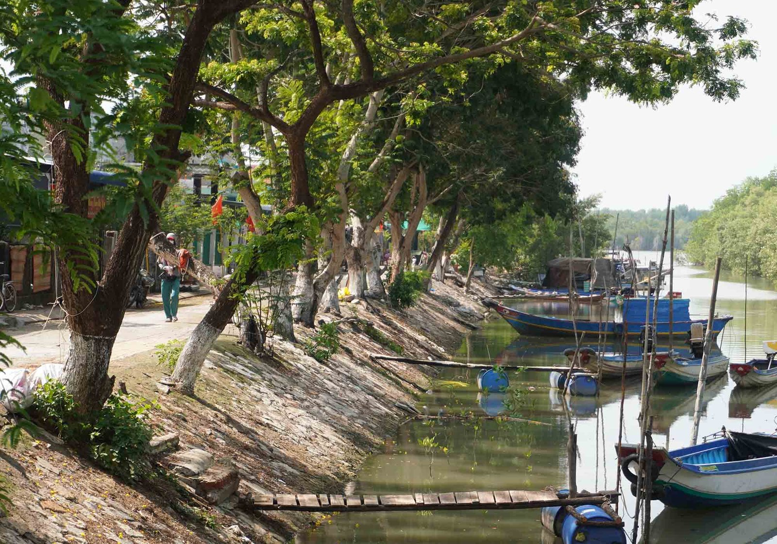 Ngọn núi ở TP.HCM cao hơn 10m: Được ví như "núi dễ leo nhất Việt Nam", xung quanh là hệ sinh thái hiếm có- Ảnh 4. Ngọn núi ở TP.HCM cao chỉ hơn 10m: Được ví như