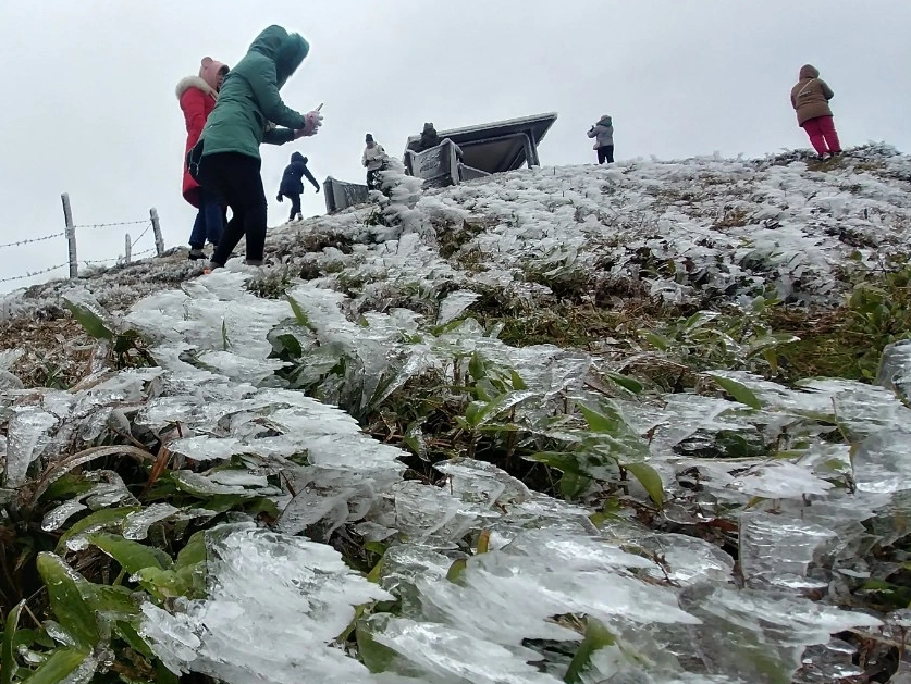 Miền Bắc đ&oacute;n kh&ocirc;ng kh&iacute; lạnh cực mạnh, bỏ t&uacute;i ngay 2 "si&ecirc;u thực" chống cảm lạnh tuyệt vời- Ảnh 1.