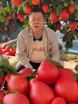 Nam diễn vi&ecirc;n cả nước biết mặt ph&aacute; sản v&igrave; m&oacute;n nợ 191 tỷ, nay về qu&ecirc; b&aacute;n trứng, tr&aacute;i c&acirc;y đầy chua x&oacute;t- Ảnh 2.