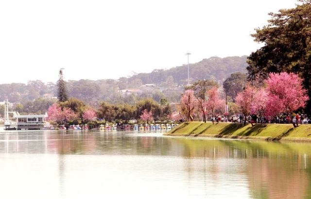 Đầu năm 2026, du lịch Đ&agrave; Lạt c&oacute; một việc &ldquo;chưa từng c&oacute; tiền lệ&rdquo;- Ảnh 8.