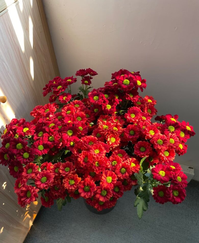 C&acirc;y Tết nh&agrave; gi&agrave;u m&ecirc; mệt: Hoa bung nở rực s&aacute;ng cả khung h&igrave;nh, chưng g&oacute;c n&agrave;o cũng đẹp sang v&ocirc; c&ugrave;ng tận- Ảnh 1.