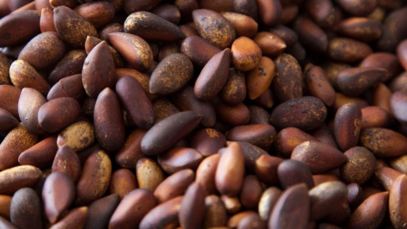 Loại quả đắt đỏ bậc nhất thế giới gi&aacute; tới cả triệu đồng/kg: Việt Nam lại sở hữu cả v&ugrave;ng trồng rộng lớn- Ảnh 3.