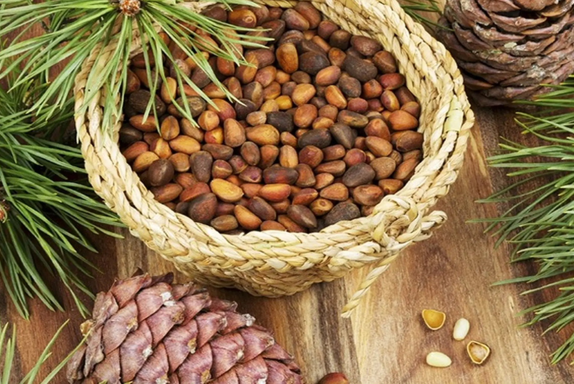 Loại quả đắt đỏ bậc nhất thế giới gi&aacute; tới cả triệu đồng/kg: Việt Nam lại sở hữu cả v&ugrave;ng trồng rộng lớn- Ảnh 1.