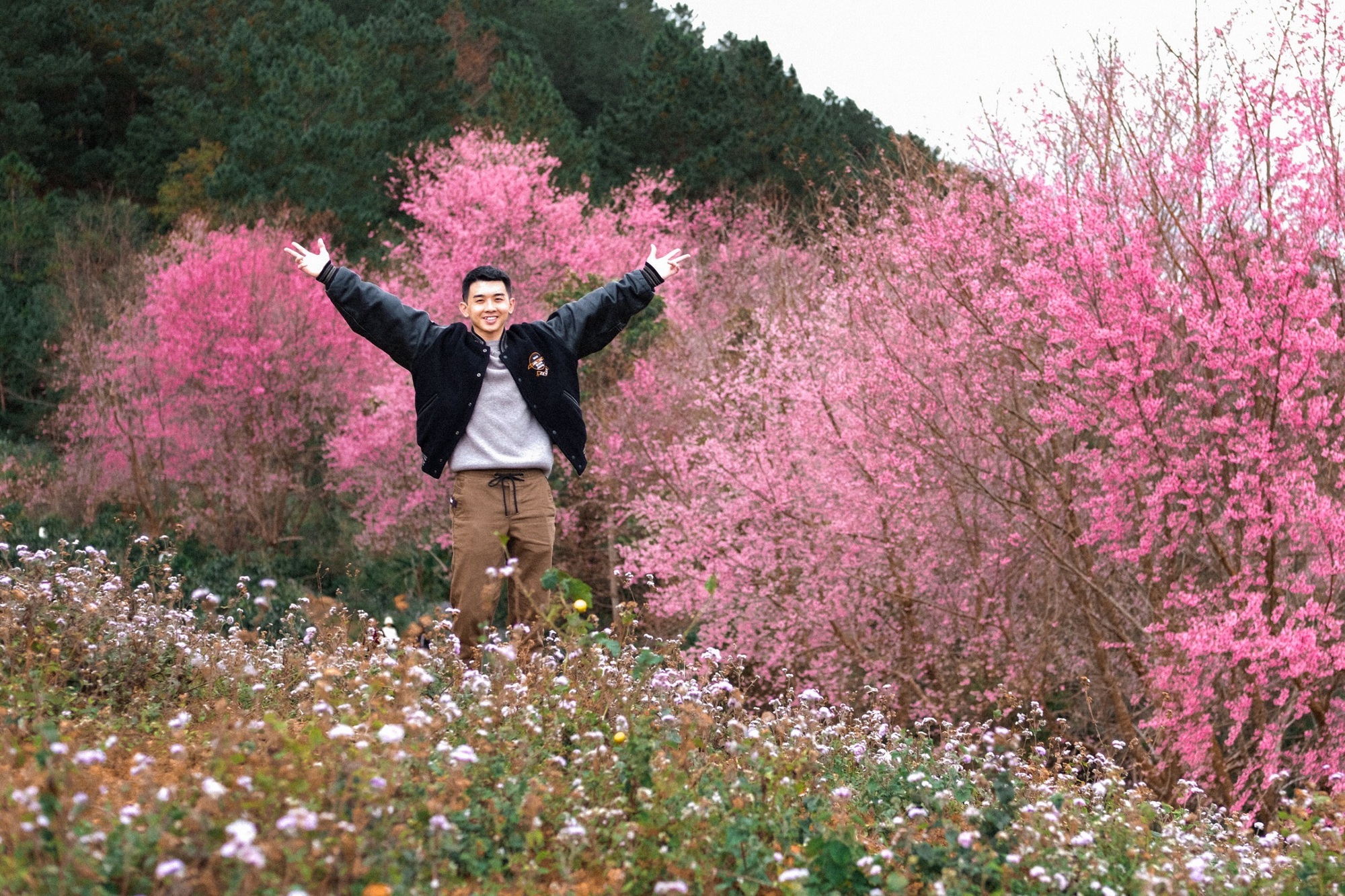 Đầu năm 2026, du lịch Đ&agrave; Lạt c&oacute; một việc &ldquo;chưa từng c&oacute; tiền lệ&rdquo;- Ảnh 6.