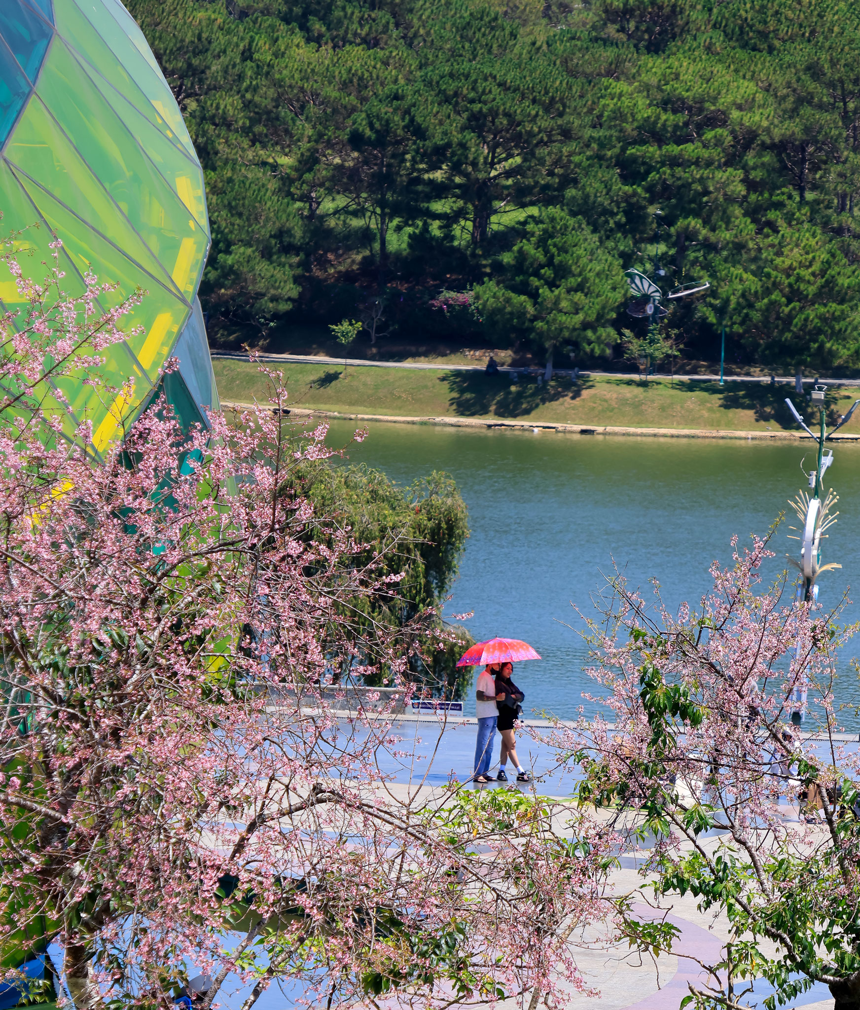 Đầu năm 2026, du lịch Đ&agrave; Lạt c&oacute; một việc &ldquo;chưa từng c&oacute; tiền lệ&rdquo;- Ảnh 5.
