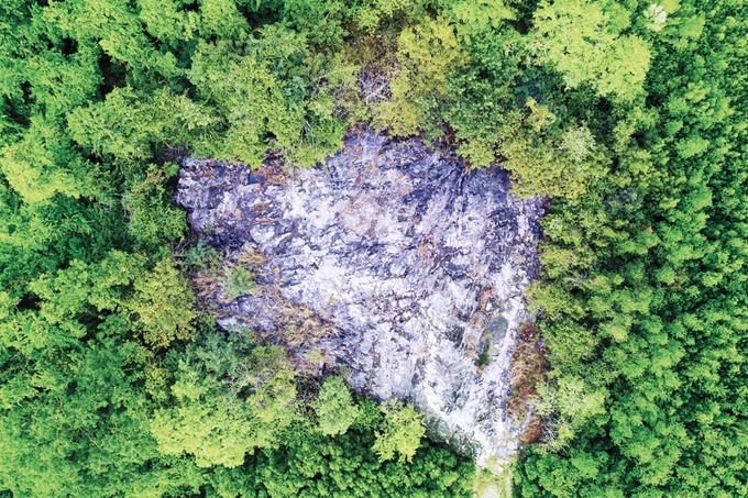 Ngọn núi ở TP.HCM cao hơn 10m: Được ví như "núi dễ leo nhất Việt Nam", xung quanh là hệ sinh thái hiếm có- Ảnh 2. Ngọn núi ở TP.HCM cao chỉ hơn 10m: Được ví như