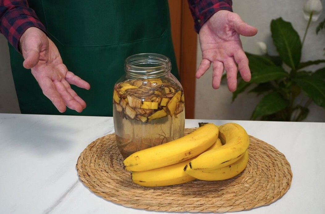 C&acirc;y lan &yacute; &ldquo;rất th&iacute;ch&rdquo; loại nước n&agrave;y, biết tưới th&igrave; c&acirc;y sẽ ra hoa suốt nhiều năm- Ảnh 2.