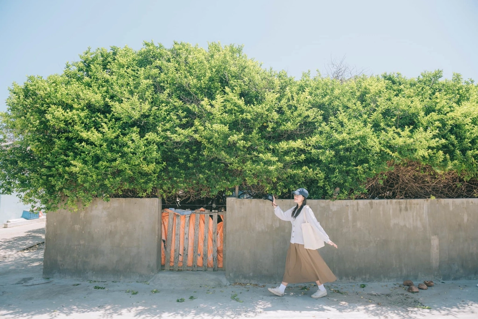 Kh&ocirc;ng phải Ph&uacute; Quốc, đ&acirc;y mới l&agrave; điểm du lịch biển lọt Top 10 nơi đ&aacute;ng đến nhất Đ&ocirc;ng Nam &Aacute; 2026 do nước ngo&agrave;i b&igrave;nh chọn: Nước xanh như ngọc, hải sản vừa rẻ vừa tươi r&oacute;i- Ảnh 2.