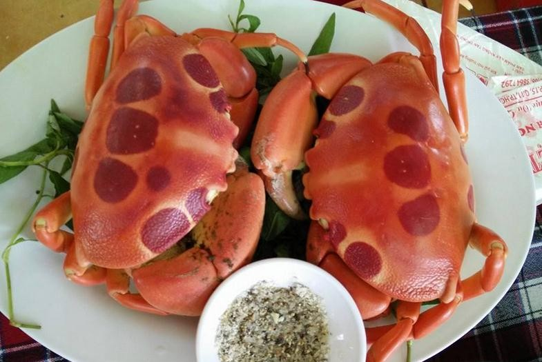 Kh&ocirc;ng phải Ph&uacute; Quốc, đ&acirc;y mới l&agrave; điểm du lịch biển lọt Top 10 nơi đ&aacute;ng đến nhất Đ&ocirc;ng Nam &Aacute; 2026 do nước ngo&agrave;i b&igrave;nh chọn: Nước xanh như ngọc, hải sản vừa rẻ vừa tươi r&oacute;i- Ảnh 6.