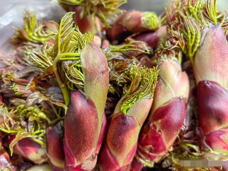 Thứ rau dại ở Việt Nam, Trung Quốc v&iacute; l&agrave; &ldquo;cao lương mỹ vị số 1 thế giới&rdquo;: Nấu kiểu n&agrave;y bao nhi&ecirc;u cũng hết- Ảnh 2.