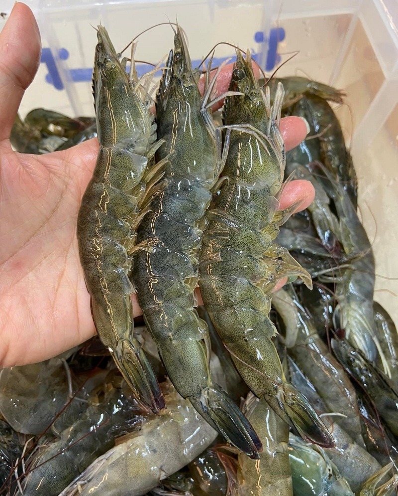 T&ocirc;m mua về ĐỪNG vội cho v&agrave;o tủ lạnh: Th&ecirc;m đ&uacute;ng 1 thứ n&agrave;y, t&ocirc;m để l&acirc;u vẫn tươi như mới- Ảnh 2.